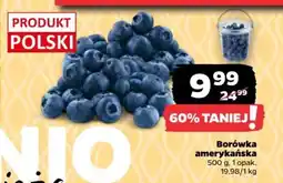 Netto Borówka amerykańska oferta