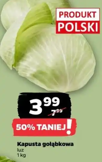 Netto Kapusta gołąbkowa oferta