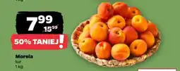 Netto Morela luz oferta
