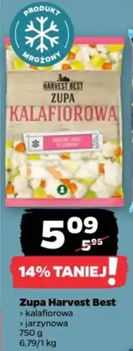 Netto Zupa Harvest Best kalafiorowa jarzynowa oferta