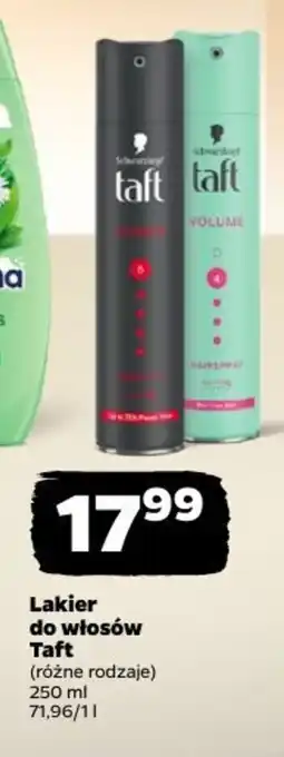 Netto Lakier do włosów Taft oferta