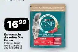 Netto Karma sucha dla kotów One Purina oferta
