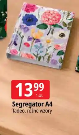 E.Leclerc Segregator A4 Tadeo oferta