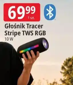 E.Leclerc Głośnik tracer stripe tws rgb oferta