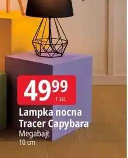 E.Leclerc Lampka nocna tracer capybara oferta