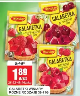Bingo Galaretki Winiary oferta