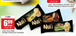 Bingo Lody Nuii oferta