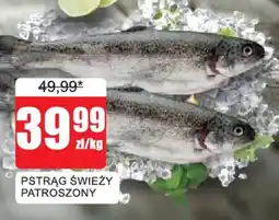 Bingo Pstrąg Świeży Patroszony oferta