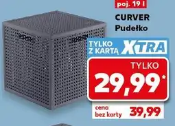 Kaufland Curver Pudełko oferta