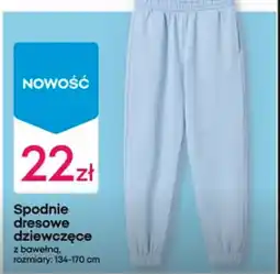 Pepco Spodnie dresowe oferta