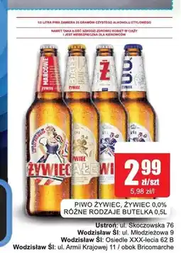 Bingo Piwo Żywiec Białe oferta