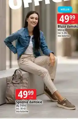 E.Leclerc Spodnie damskie J&J Trend oferta