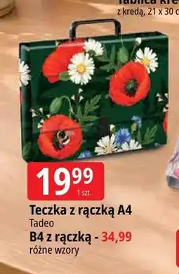 E.Leclerc Teczka z rączką B4 Tadeo oferta