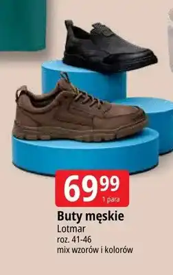 E.Leclerc Buty męskie Lotmar oferta