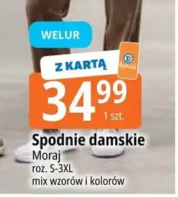E.Leclerc Spodnie damskie Moraj oferta