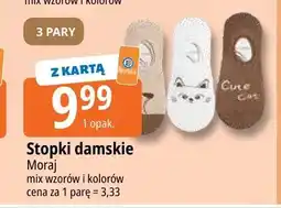 E.Leclerc Stopki damskie Moraj 3-pak oferta