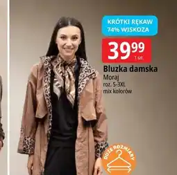 E.Leclerc Bluzka damska Moraj oferta