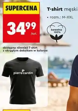 Biedronka T-shirt męski oferta
