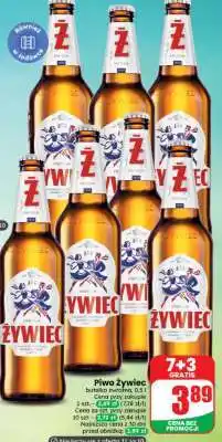 Dino Piwo Żywiec oferta