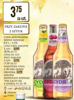 Dino CYDR MIŁOSŁAWSKI RÓŻNE RODZAJE oferta