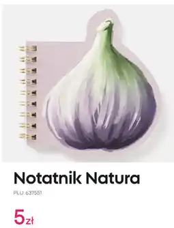 Pepco Notatnik Natura oferta