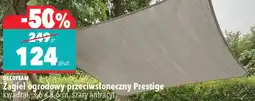 Biedronka Zagiel ogrodowy przeciwsłoneczny Prestige oferta