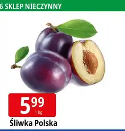 E.Leclerc Śliwka polska oferta