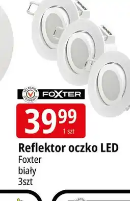 E.Leclerc Reflektor oczko LED Foxter 3-pak oferta