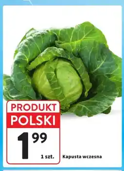 Intermarche Kapusta wczesna polska oferta