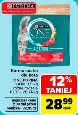 Carrefour Karma sucha dla kota ONE PURINA oferta