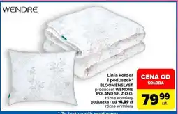 Carrefour WENDRE oferta