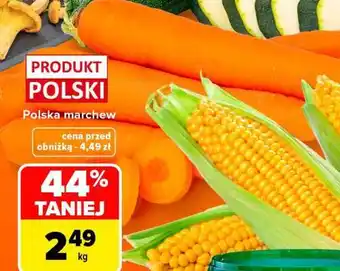 POLSKA Marchew