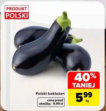 Polski bakłażan