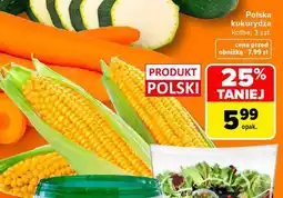 Carrefour Polska kukurydza oferta
