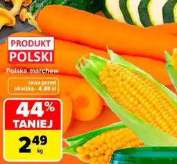 Carrefour POLSKA Marchew oferta