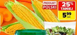 Carrefour Polska kukurydza kolba, 3 szt oferta