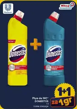 Carrefour Pły do WC Domestos oferta