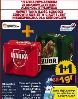 Carrefour Piwa w 6-pakach marek: Żywiec, Warka, Tyskie, Żubr, puszka oferta