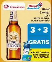 Carrefour Piwo Żywiec oferta
