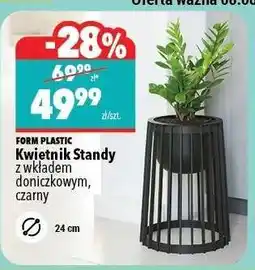 Biedronka Kwietnik Standy oferta