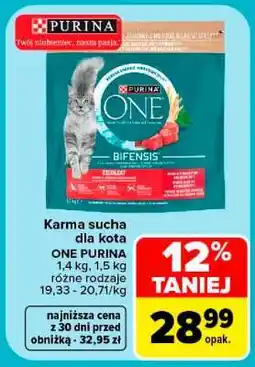 Carrefour One Purina oferta