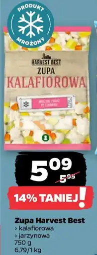 Netto Zupa Harvest Best oferta