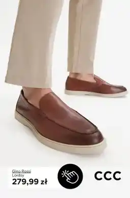 CCC Lordsy Gino Rossi oferta