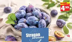 Topaz Śliwka polska oferta