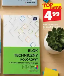 Topaz Blok techniczny kolorowy A4 10 kartek interDRUK oferta