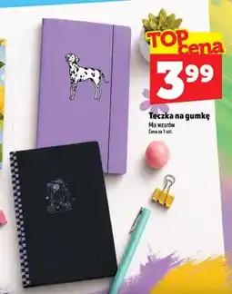 Topaz Teczka na gumkę oferta