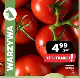 Netto Pomidor gałązka luz oferta