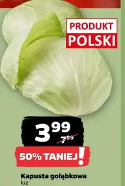 Netto Kapusta gołąbkowa luz oferta