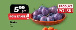 Netto Śliwka luz polska oferta