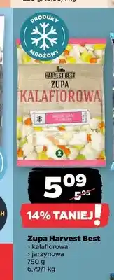 Netto Zupa kalafiorowa Harvest Best oferta